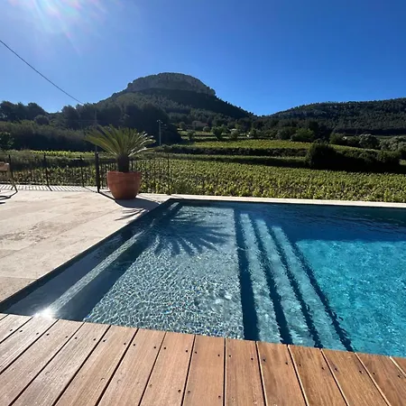 Côté vignes cassis-2